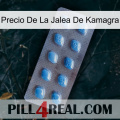 Kamagra Jelly Price viagra3